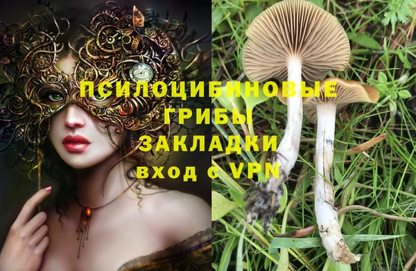 каннабис Богданович