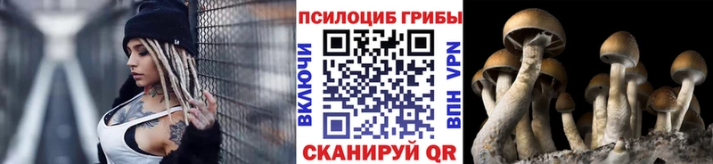 Галлюциногенные грибы Cubensis  Донецк 